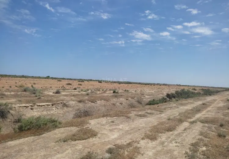 602.5 sot Torpaq Satılır, Neftçala