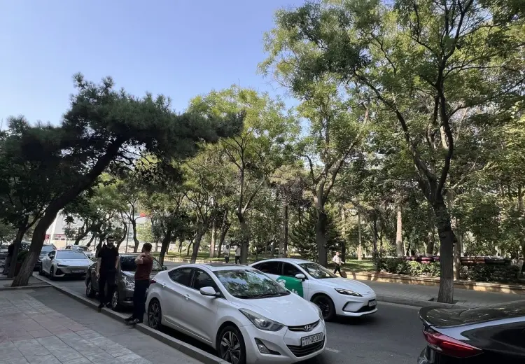 50 m² Obyekt / Ofis Kirayə (aylıq), Nərimanov, Bakı