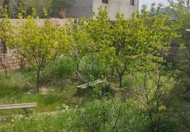 4 sot Torpaq Satılır, Masazır, Abşeron