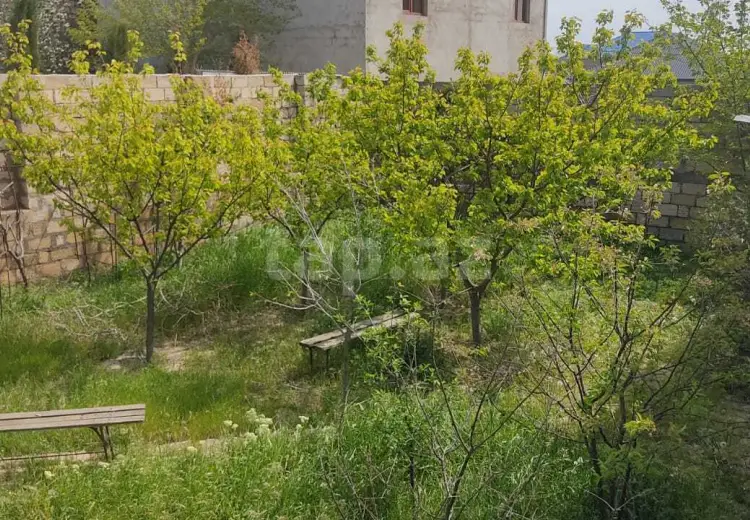 0 m² Obyekt / Ofis , Bakı