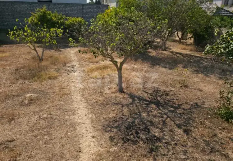 0 m² Obyekt / Ofis , Buzovna, Xəzər, Bakı