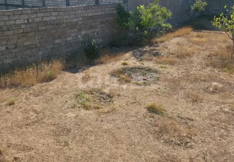 0 m² Obyekt / Ofis , Buzovna, Xəzər, Bakı