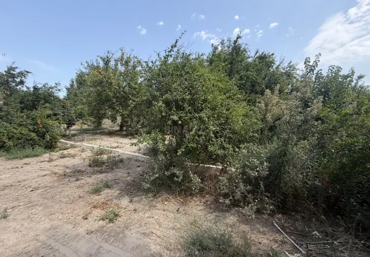 11 sot Torpaq Satılır, Bilgəh qəs., Sabunçu, Bakı