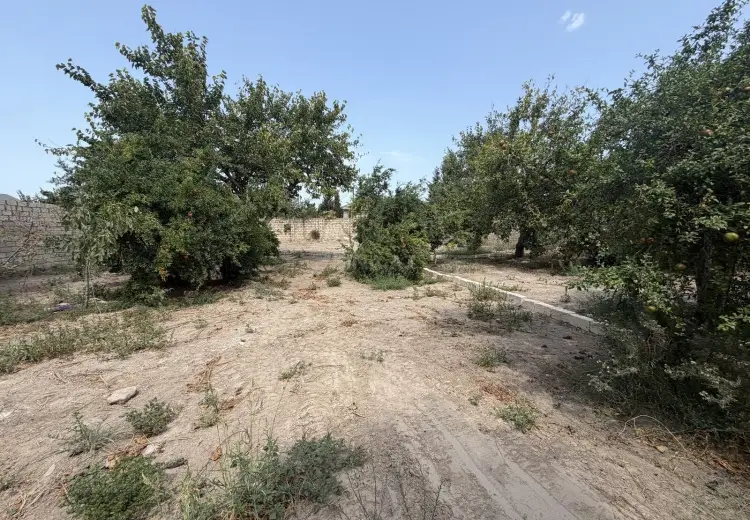 11 sot Torpaq Satılır, Bilgəh qəs., Sabunçu, Bakı
