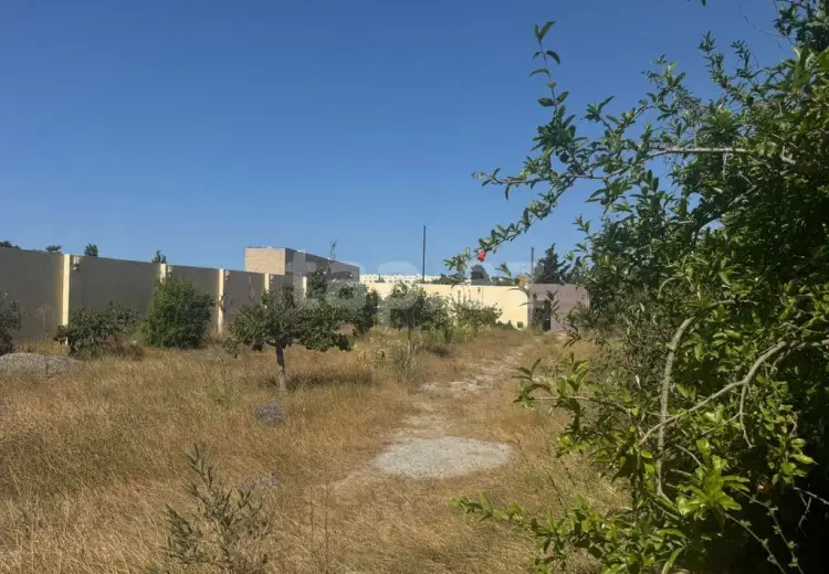 0 m² Obyekt / Ofis , Mərdəkan, Xəzər, Bakı