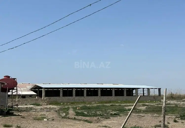 300 sot Torpaq Satılır, Salyan