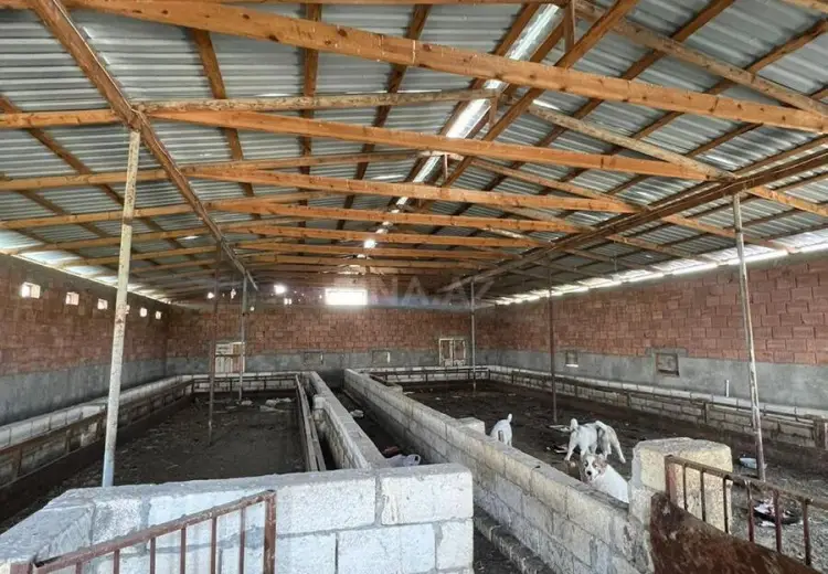 300 sot Torpaq Satılır, Salyan