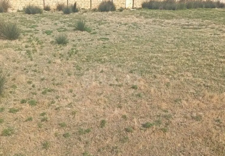 10 sot Torpaq Satılır, Novxanı, Abşeron