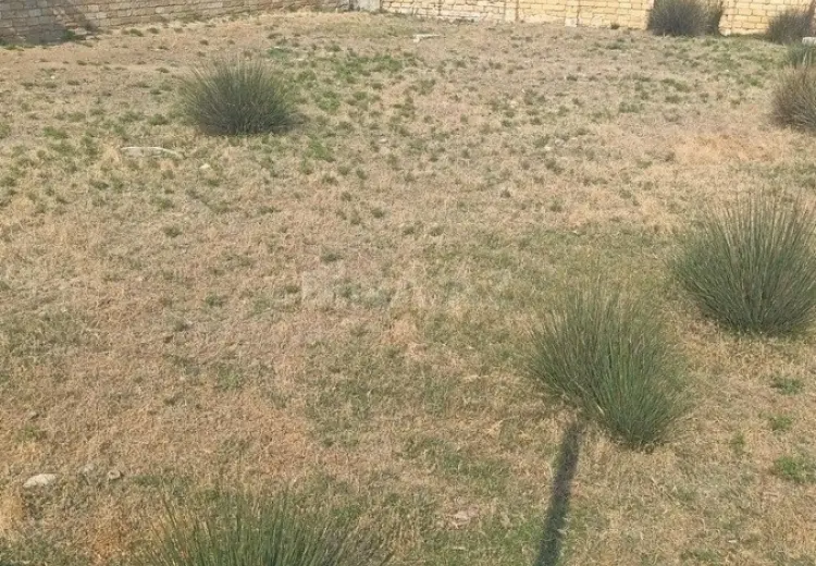 10 sot Torpaq Satılır, Novxanı, Abşeron
