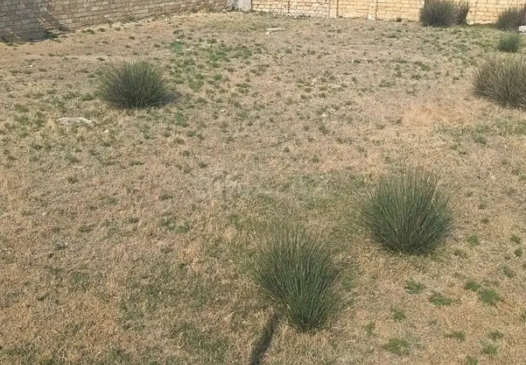 10 sot Torpaq Satılır, Novxanı, Abşeron