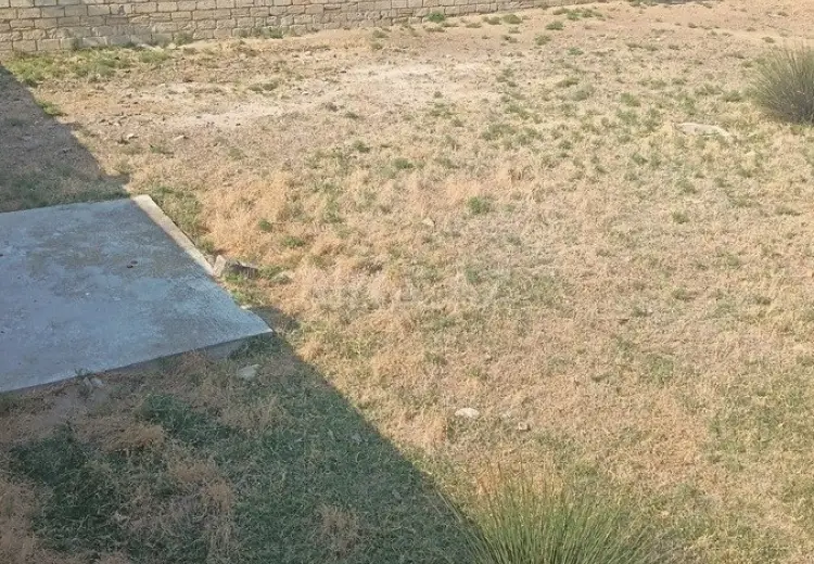10 sot Torpaq Satılır, Novxanı, Abşeron