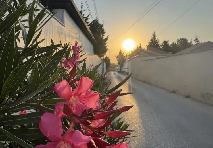 4 sot Torpaq Satılır, Goradil, Abşeron