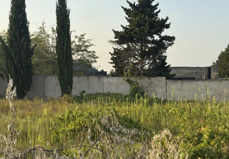 6 sot Torpaq Satılır, Goradil, Abşeron