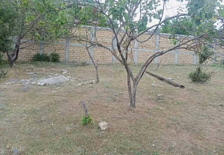 9 sot Torpaq Satılır, Şamaxı