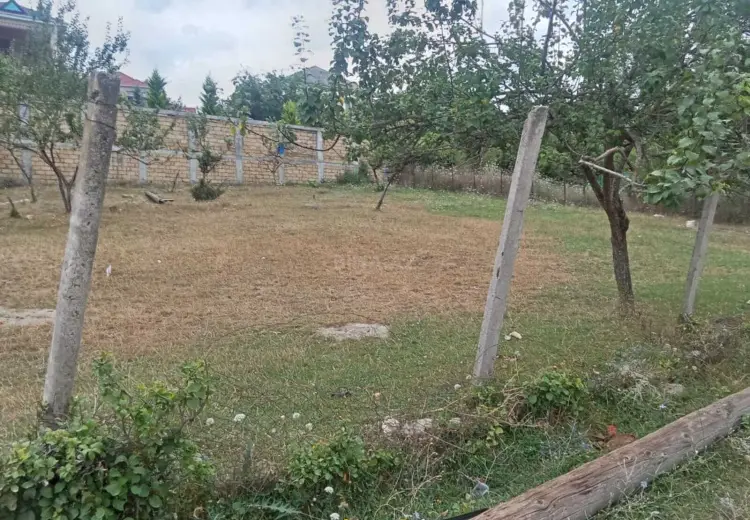 9 sot Torpaq Satılır, Şamaxı