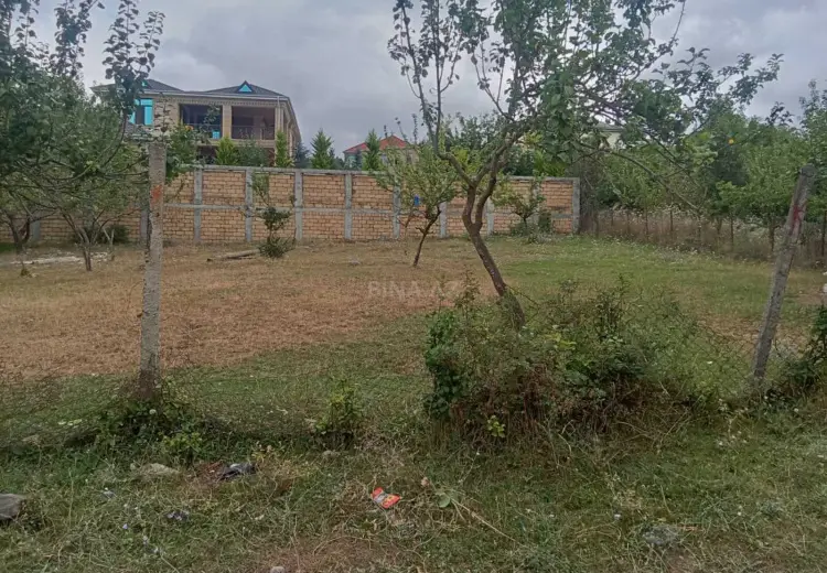 9 sot Torpaq Satılır, Şamaxı