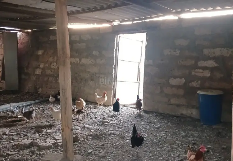 3000 m² Obyekt / Ofis Satılır, Ələt qəs., Qaradağ, Bakı