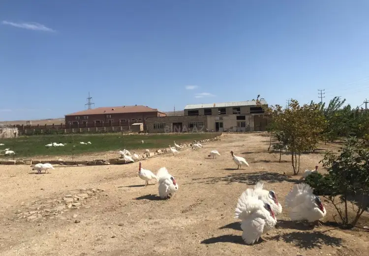 15000 m² Obyekt / Ofis Kirayə (aylıq), Qobu, Abşeron
