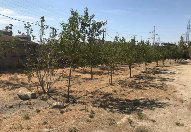 15000 m² Obyekt / Ofis Kirayə (aylıq), Qobu, Abşeron