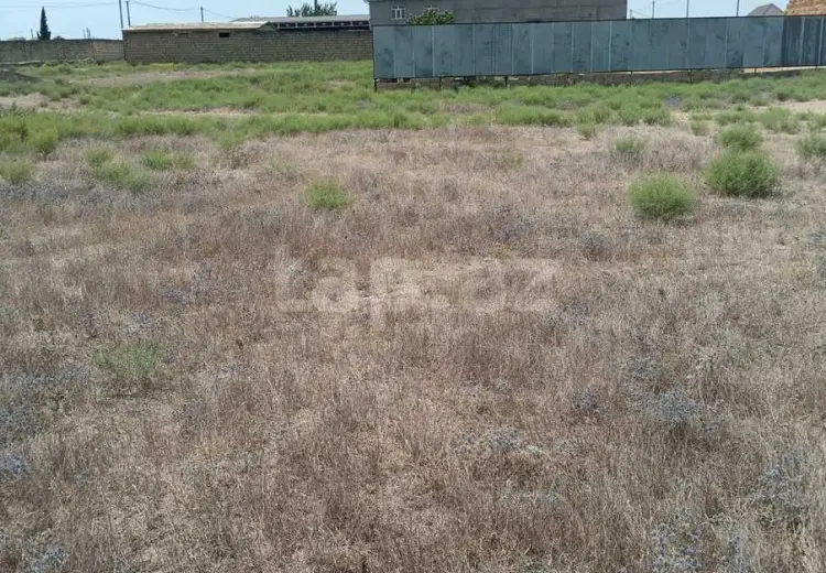 0 m² Obyekt / Ofis , Cəlilabad