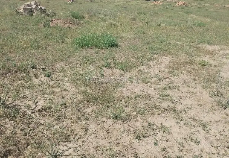 10 sot Torpaq Satılır, Qobu, Abşeron