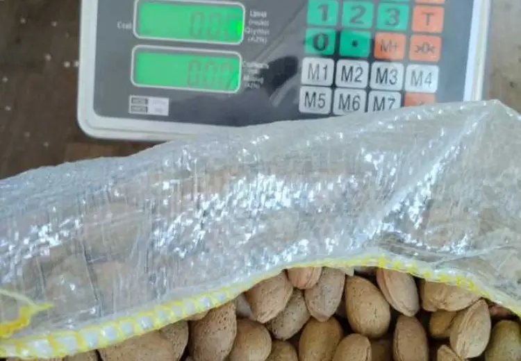 1200 sot Torpaq Satılır, İsmayıllı
