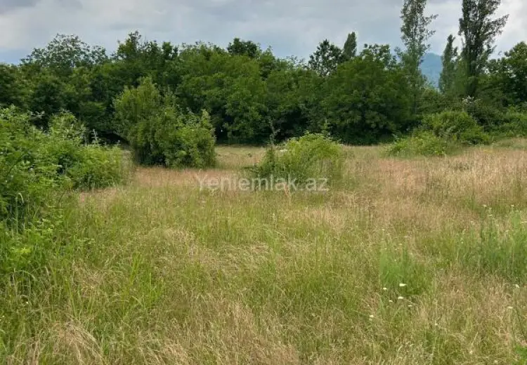 43 sot Torpaq Satılır, Qəbələ