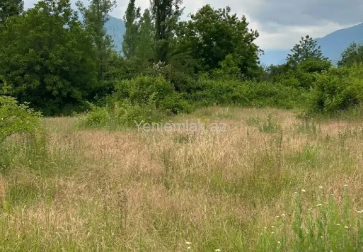 43 sot Torpaq Satılır, Qəbələ