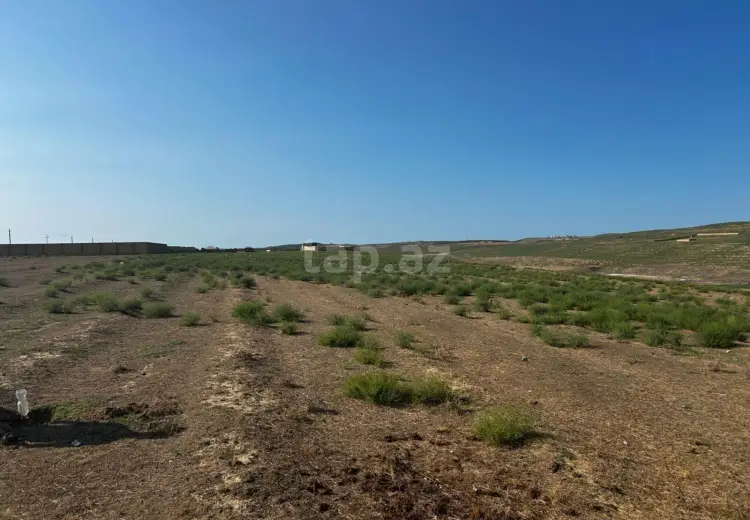 0 m² Obyekt / Ofis , Mehdiabad, Abşeron