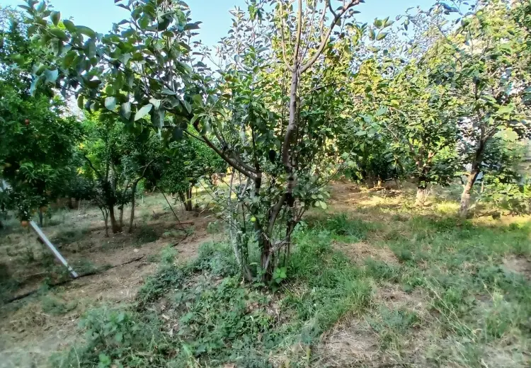 7 otaqlı mənzil , Masazır, Abşeron