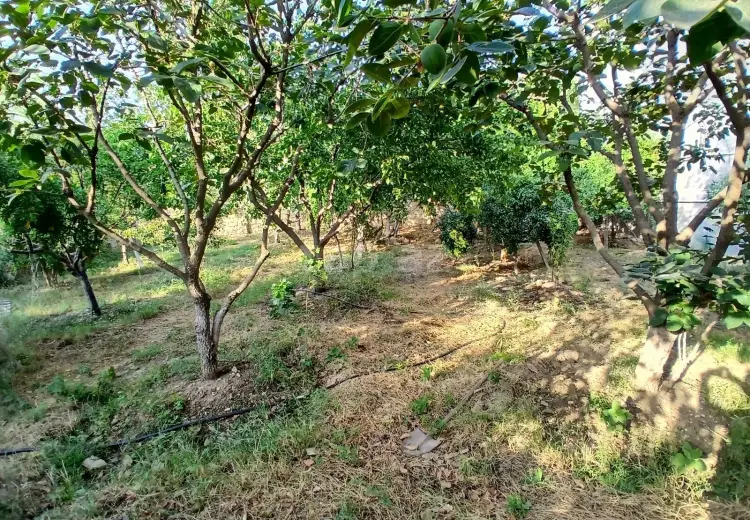 7 otaqlı mənzil , Masazır, Abşeron