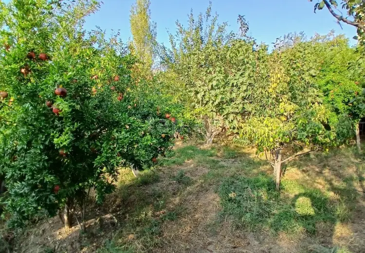 7 otaqlı mənzil , Masazır, Abşeron