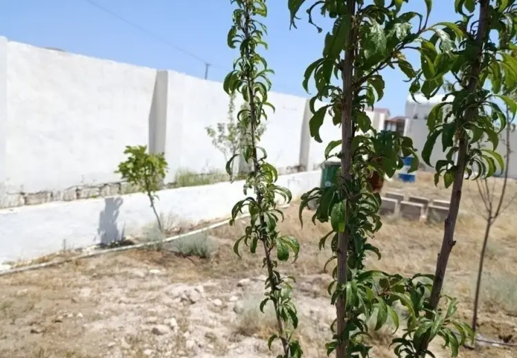 10 sot Torpaq Satılır, Türkan, Xəzər, Bakı