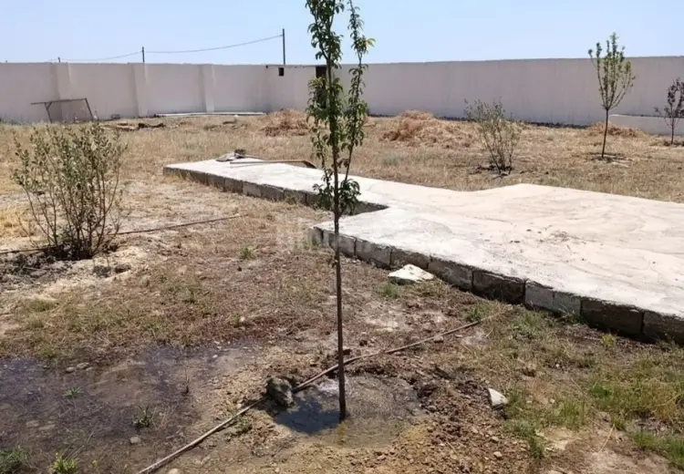 10 sot Torpaq Satılır, Türkan, Xəzər, Bakı