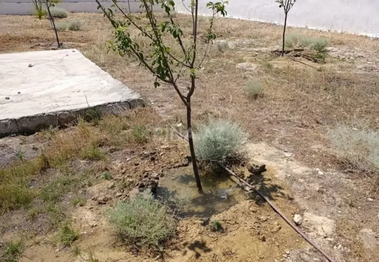 10 sot Torpaq Satılır, Türkan, Xəzər, Bakı