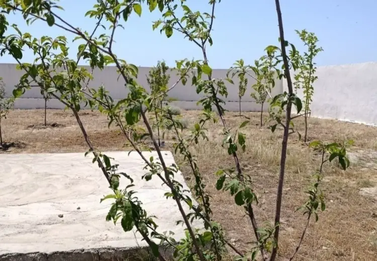 10 sot Torpaq Satılır, Türkan, Xəzər, Bakı