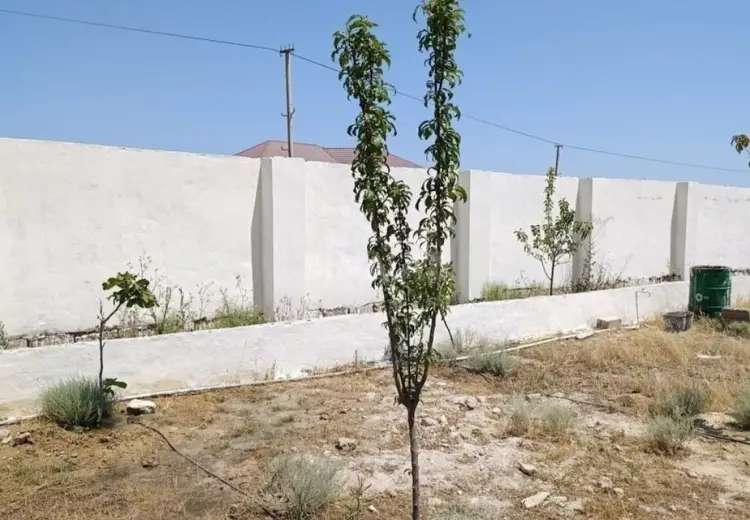 10 sot Torpaq Satılır, Türkan, Xəzər, Bakı