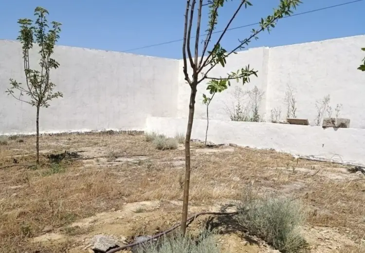 10 sot Torpaq Satılır, Türkan, Xəzər, Bakı