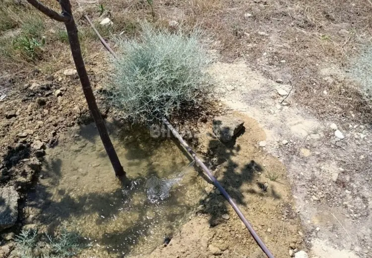 10 sot Torpaq Satılır, Türkan, Xəzər, Bakı
