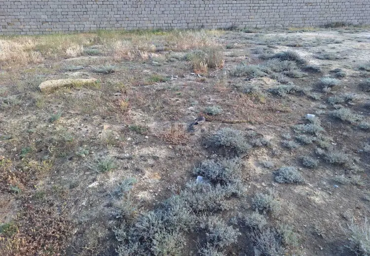 0 m² Obyekt / Ofis , Badamdar qəs., Səbail, Bakı