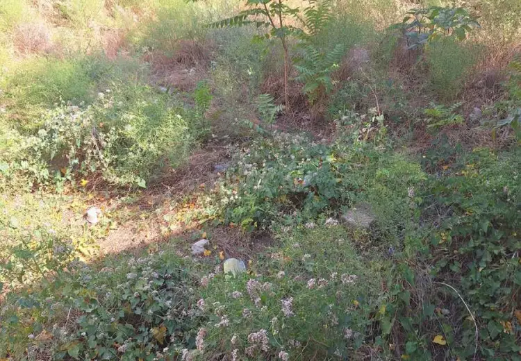 6 sot Torpaq Satılır, Badamdar qəs., Səbail, Bakı