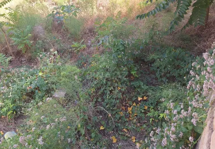 6 sot Torpaq Satılır, Badamdar qəs., Səbail, Bakı