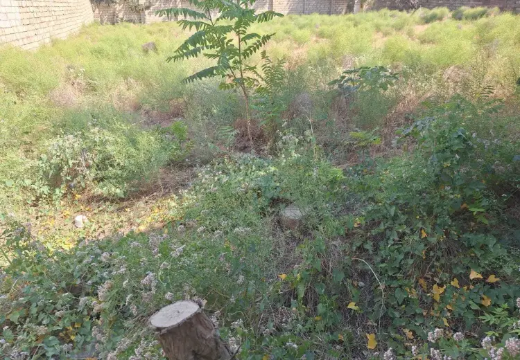 6 sot Torpaq Satılır, Badamdar qəs., Səbail, Bakı
