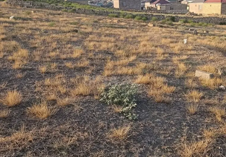 4 sot Torpaq Satılır, Qobu, Abşeron