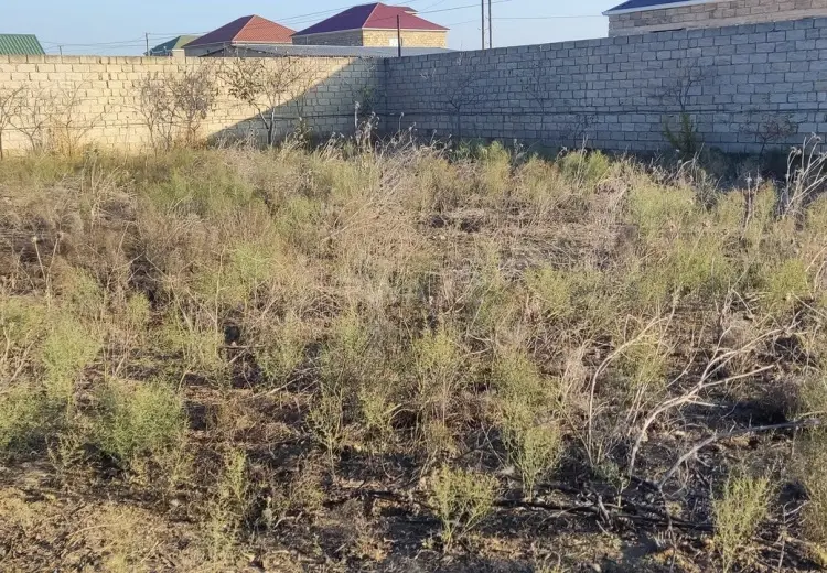 12 sot Torpaq Satılır, Mehdiabad, Abşeron