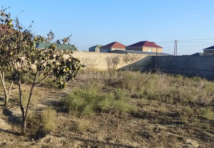 12 sot Torpaq Satılır, Mehdiabad, Abşeron