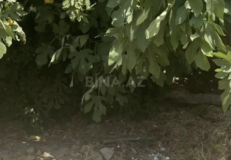 3.2 sot Torpaq Satılır, Sumqayıt