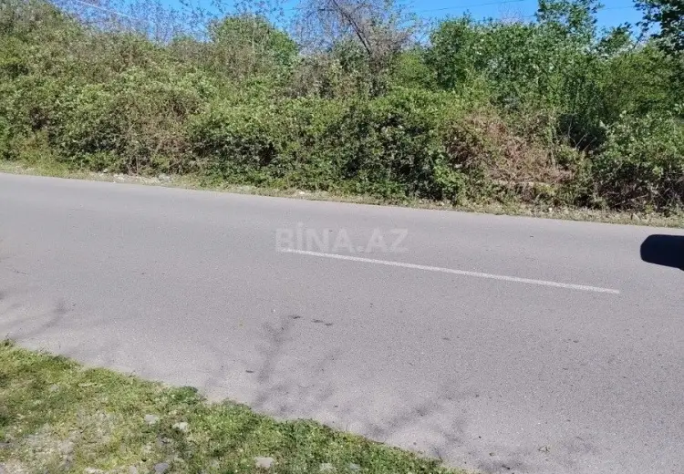 20 sot Torpaq Satılır, 28 may qəs., Qəbələ