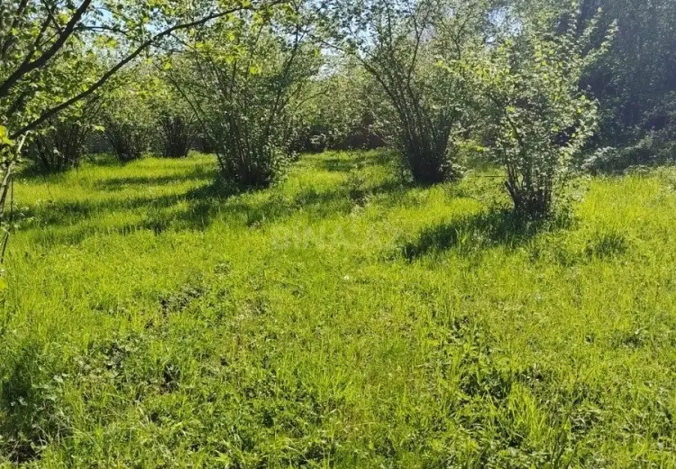 20 sot Torpaq Satılır, 28 may qəs., Qəbələ