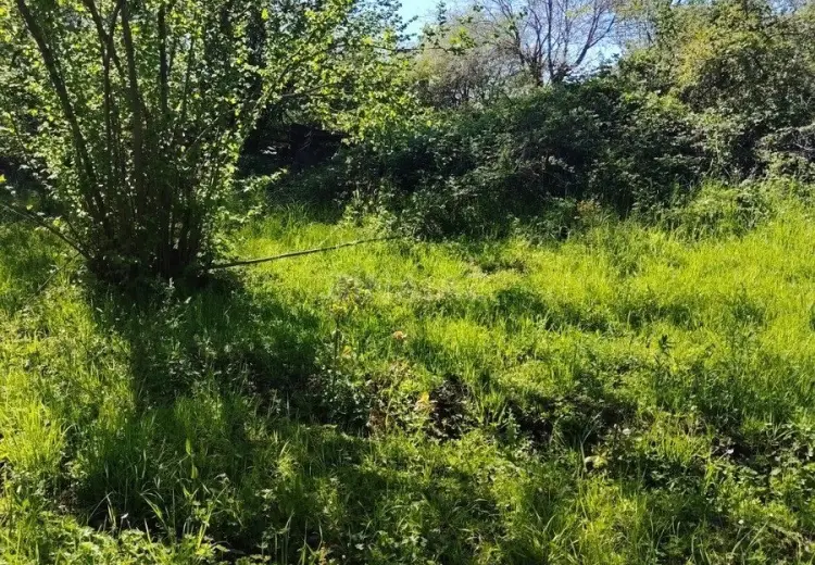 20 sot Torpaq Satılır, 28 may qəs., Qəbələ